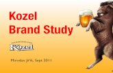 Kozel brand study / Czech Republic