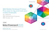 2824 IBM Mobile Workload Pricing: Five ways to tag and track your mobile workloads