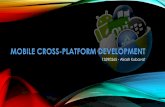 Cross-Platform Mobile Development - Technical Stuff