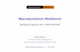 S3 mr. sakib sherani   macroeconomic resilience