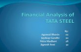 Analysis of Tata Steel