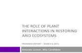 The role of plant interactions in restoring arid ecosystems