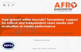 Free Speech within Bounds? Views from Tanzania on Media Freedom and Free Speech