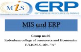 Mis and erp