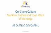 #5 Castelo de Pombal, Our Stone Culture