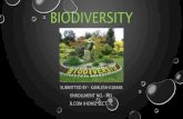 Presentation on Biodiversity