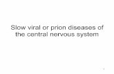 Slow viral or prion diseases of the central nervous system