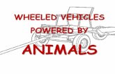 Pp wheeled vehicles powered by animals