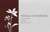 Ho fragile x_syndrome