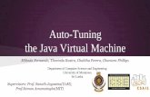 Auto-tuning the Java Virtual Machine. TechTalk @ WSO2