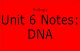 Biology Unit 6 Notes:  DNA