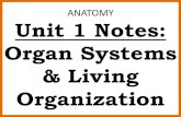 Anatomy unit 1 introduction notes
