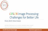 Color image processing challenges zewail city workshop  7 march 2015