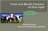 Foot and Mouth Disease at first sight
