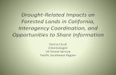 Drought related impacts on forested lands in California - US Forest Service