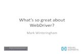 What's so great about web driver?