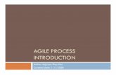 Agile Process Introduction