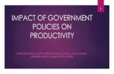 Impact of Government Policies on productivity