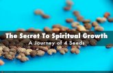 The Secret To Spiritual Growth