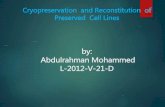 Cryopreservation  and reconstitution  of preserved  cell lines
