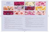 David Austin Cut Rose collection 2013-2014; Varieties Sheet of the Garden Roses