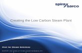 Creating the low carbon steam plant