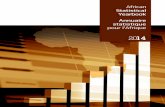 African statistical yearbook_2014