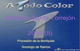 Semana Santa Torrejon 2014: Domingo de Ramos (Procesion de la Borriquita)
