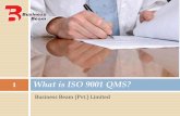 What is iso 9001 qms