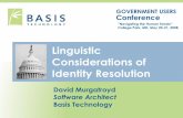 Linguistic Considerations of Identity Resolution (2008)