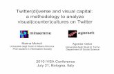 Twitterverse and visual capital