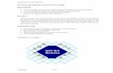 Sap fico-configuration-guide