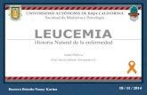 Historia Natural de la Leucemia