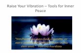 2014 Jackie Curran Raise Your Vibration Tools for Inner Peace