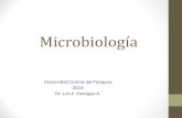 Microbiologia estomatologica clase 1