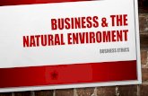Business & the natural enviroment