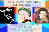 Why does our mind see illusions?