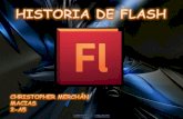 Historia de Flash