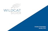 Wildcat Silver Corporate Presentation
