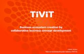 Tivit Interactive: Business Ecosystem Creation
