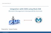 Integration with CMIS using Mule ESB