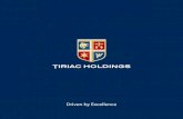 Brosura Tiriac Holdings EN