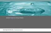 Enquirica Research - Global Trade in Virtual Water