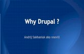DrupalTour. Khmelnytskyi — Why Drupal? (Andrij Sakhaniuk, InternetDevels)