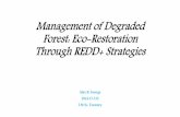 Management of degraded forests   eco-restoration through redd
