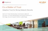 Adaptive Trust for Strong Network Security