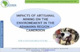 CECOSDA Effects of aluvial gold mining in the Adamawa region of  Cameroon)