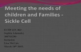 Meeting the needs of children and families  sickle and depression.