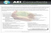 AEI Services