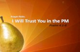 Prayer Pairs -- Trust in the PM